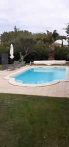 a large blue swimming pool in a yard at mas saint genieis in Canet
