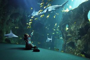 a child standing in front of an aquarium looking at fish at Le Carbet Vendéen in Bouillé-Courdault