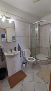 uma casa de banho com um WC, um chuveiro e um lavatório. em Hezké ubytování v centru města em Trebic