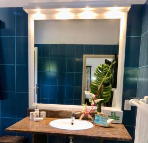 ein Badezimmer mit einem Waschbecken und einem großen Spiegel in der Unterkunft Cap Jean Marie Beach Villas in Anse Kerlan
