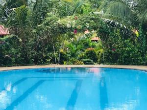 una grande piscina blu di fronte ad alcuni alberi di ITALIAN GUEST a Trincomalee