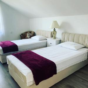 2 bedden in een kamer met paarse lakens bij Tina in Tekija