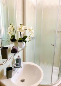 a bathroom with a sink and a shower with plants at Apartmán U Tří smrků in Boží Dar
