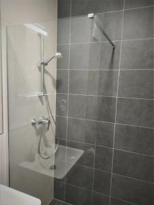 Koupelna v ubytování Apartmán Tommy - Zadov