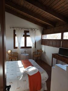 a bedroom with two beds and two windows at La Casa de los Gatos in Condemios de Abajo