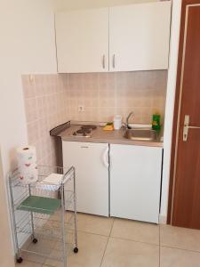 Kuchyňa alebo kuchynka v ubytovaní Apartmani LuMa / apartman Luka
