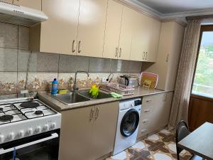cocina con fregadero y lavadora en Lovely 2-bedroom apartment near AYB school, en Dilijan