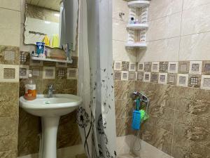 y baño con lavabo y ducha. en Lovely 2-bedroom apartment near AYB school, en Dilijan