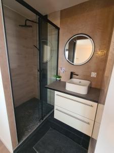 uma casa de banho com um lavatório e um espelho em Ferme de la Gibussière em Présilly