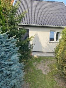 a christmas tree in front of a house at White Apartment in Elblag