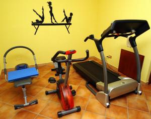 - une salle de sport avec deux vélos d'exercice et un tapis de course dans l'établissement BB DoliaHouse, à Dolianova