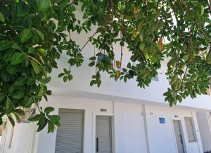 a white building with two doors and some trees at Sarri Appartments in Amoudara Herakliou