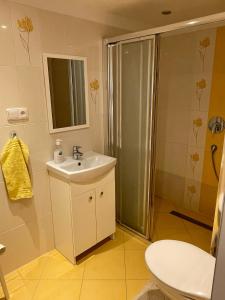 bagno con doccia, lavandino e servizi igienici di Apartmán v podhůří Jizerských hor a Železný Brod