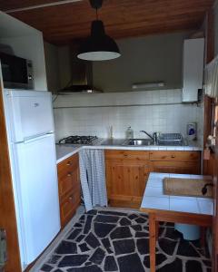 a kitchen with a white refrigerator and a sink at Ma Cabane Au Bord Du Lac in Neuvic