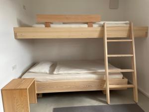 Etagenbett in einem Zimmer mit einer Leiter und einem Etagenbett in der Unterkunft Bregenzerwaldblick in Schwarzenberg im Bregenzerwald