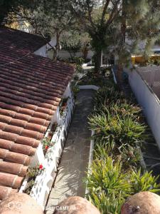 Vườn quanh La Casita de Las Palmas VV