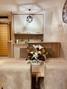 Kuhinja oz. manjša kuhinja v nastanitvi NEO Apartman