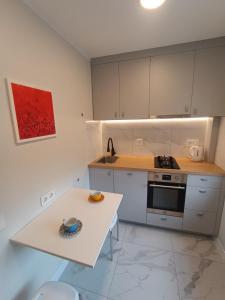 Η κουζίνα ή μικρή κουζίνα στο Dariaus ir Girėno 6 Apartments