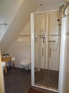 uma casa de banho com um chuveiro e um WC. em Appartements im Hollandhaus em Kurort Oberwiesenthal