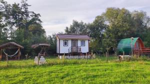 a small house and a shed in a field at Căsuța Sara- the story of nature in Plopi +10 photos