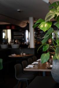 a potted plant in a restaurant with tables and chairs at Gravenstraat in Den Burg