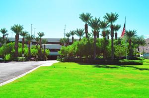 Κήπος έξω από το Laughlin River Lodge