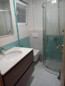 ein Bad mit einem Waschbecken, einer Dusche und einem WC in der Unterkunft Apartments Grabovica in Bar