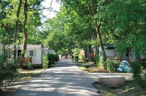 una calle arbolada con una casa y árboles en Mobil home 6 personnes camping 4* Mimizan, en Aureilhan