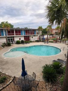 a large swimming pool with chairs and a umbrella at Mother Earth Motor Lodge in Kinston