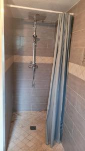 a shower with a blue shower curtain in a bathroom at Votre maison en Touraine in Chissay-en-Touraine +23 photos