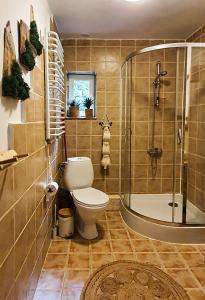 La salle de bains est pourvue de toilettes et d'une douche en verre. dans l'établissement Siedlisko Liskowate - Bieszczady, à Ustrzyki Dolne