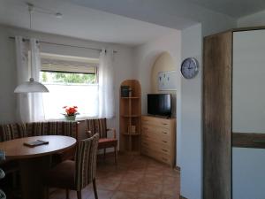 Televízia a/alebo spoločenská miestnosť v ubytovaní Apartment GINA