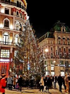 維也納的住宿－Oskar Kokoschka - City Apartment Downtown Vienna，建筑物前的圣诞树