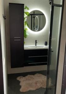 a bathroom with a sink and a mirror at Luxe Vakantiehuis met optionele privé Wellness in Zuidwolde