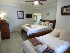 a hotel room with two beds and a ceiling fan at Tsumeb Backpackers & Safari in Tsumeb