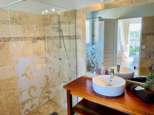 ein Bad mit einem Waschbecken und einer Dusche in der Unterkunft Le Mas des Collines in Tourtour