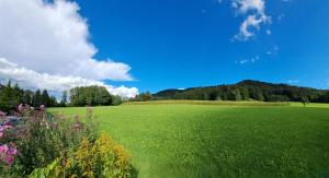 Peisaj natural din apropierea acestei pensiuni