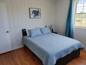 1 dormitorio con cama con sábanas azules y ventana en Melbourne Beach Ocean Front house on 1.2 acres, en Melbourne Beach