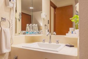 uma casa de banho com um lavatório e um espelho grande em Hotel Guadalajara Plaza Expo em Guadalajara