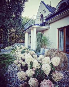 a bunch of white flowers in front of a house at Na Skarpie in Sasino