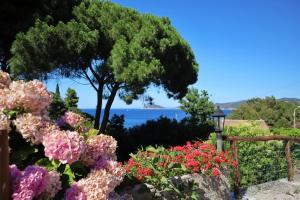 einen Garten mit Blumen und einem Baum im Hintergrund in der Unterkunft Casa del Mare - Oasi verde a soli 100m dal mare! in Marciana Marina