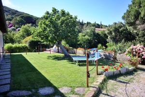 een tuin met een bank en een boom bij Casa del Mare - Oasi verde a soli 100m dal mare! in Marciana Marina