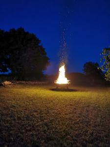 een vreugdevuur branden in een veld 's nachts bij Wohnung Waltraud in Plattenburg