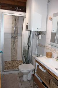ein Bad mit einem WC und einer Dusche in der Unterkunft Gite combes soleil calme et nature in Le Sappey-en-Chartreuse