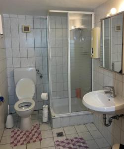 La salle de bains est pourvue d'une douche, de toilettes et d'un lavabo. dans l'établissement Ferienwohnung in der Kulturhauptstadt, à Essen