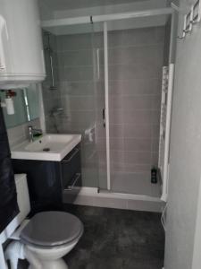 ヴィレ・シュル・メールにあるAppartement VILLERS SUR MERのバスルーム(シャワー、トイレ、シンク付)
