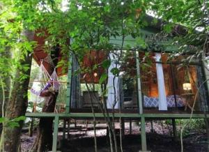 Zona de juegos infantil en Tree houses Bosque Nuboso Monteverde