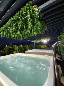 Fotografie z fotogalerie ubytování Hotel Doral Inn v destinaci Ibagué