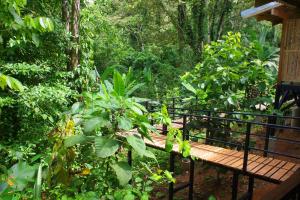 Zahrada ubytování La Shamana - Ecological Concept in Jungle