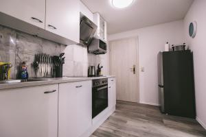 Kuchnia lub aneks kuchenny w obiekcie Apartments Margarethenbad